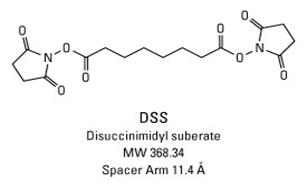 https://tools.thermofisher.com/content/sfs/gallery/high/21655-DSS-stc.jpg